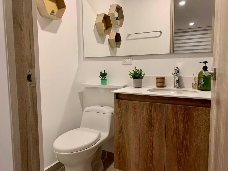Hermoso Y Confortable Apartamento